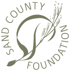 SCF-Logo-DarkGreen